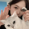 被风吹过灼思
